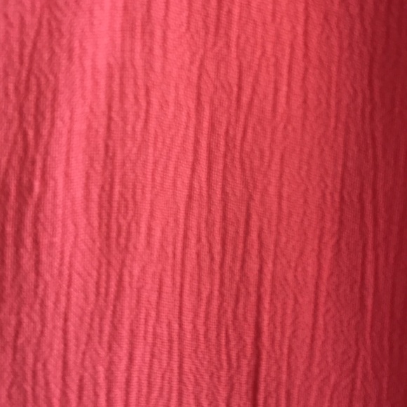 Salmon In Color - Picture 3 of 3